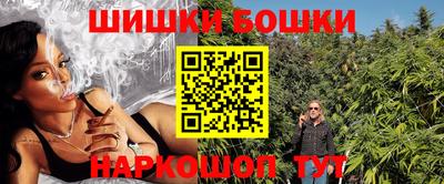 МДПВ Лесосибирск